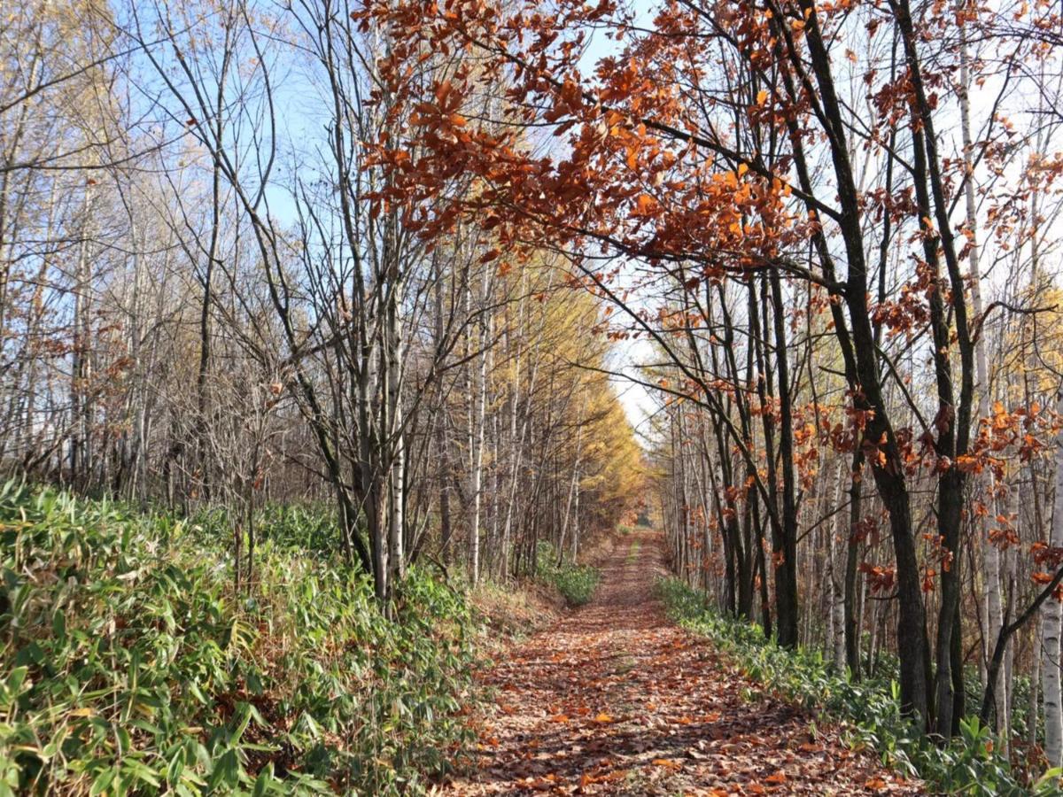فيلا Maple Farm اساهيكاوا المظهر الخارجي الصورة